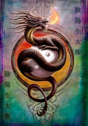 Yin Yang Protector